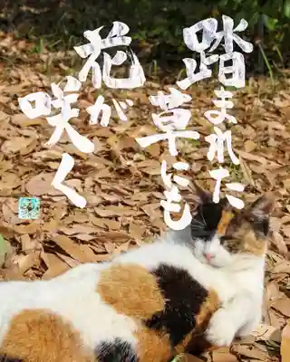 専念寺(大阪府)