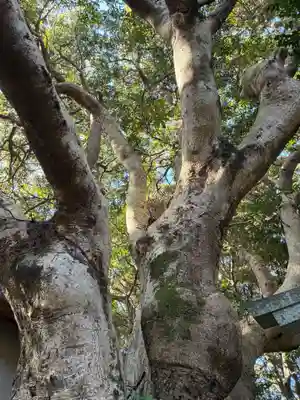 渡海神社(千葉県)