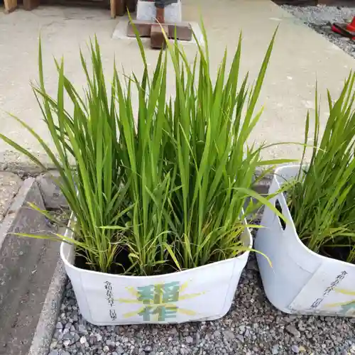 七重浜海津見神社(北海道)