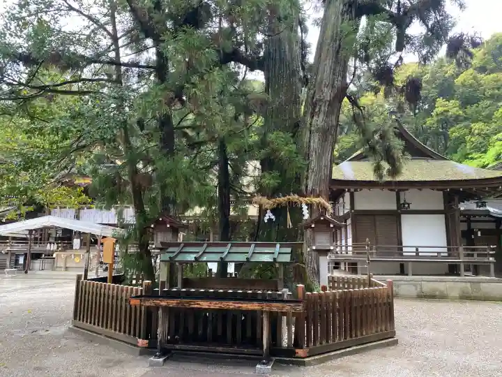 大神神社の{uncategorized: "未分類", other: "その他", undefined: "問題あり", building: "その他建物", grave: "お墓", sacred_gate: "鳥居", guardian: "狛犬", statue: "像", buddha: "仏像", history: "歴史", nature: "自然", garden: "庭園", animal: "動物", pagoda: "塔", temizu: "手水舎", mountain_gate: "山門・神門", sanctuary: "本殿・本堂", subordinate: "末社・摂社", art: "芸術", scenery: "景色", jizo: "地蔵", ema: "絵馬", goshuin: "御朱印", omikuji: "おみくじ", items: "授与品その他", amulet: "お守り", goshuincho: "御朱印帳", eats: "食事", festival: "お祭り", votive_dance: "神楽", shichigosan: "七五三参", wedding: "結婚式", experience: "体験その他", initially: "初詣", around: "周辺", anti_infection: "感染症対策"}