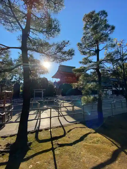 穴八幡宮の自然