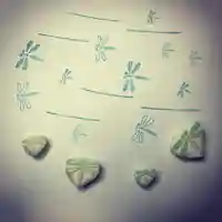 高司神社〜むすびの神の鎮まる社〜の授与品その他