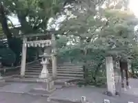 白山神社(新栄)の鳥居