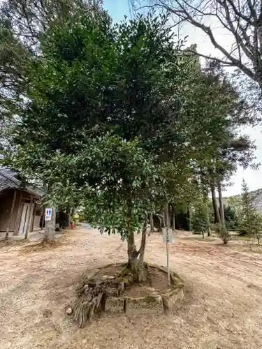 熊野大社(島根県)