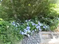 少林寺(埼玉県)