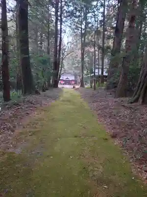 大井神社(太郎神社)(茨城県)
