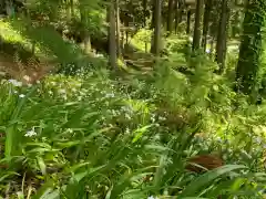 岡太神社の自然