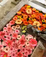 札幌諏訪神社の手水舎