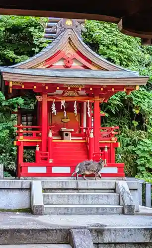 白金氷川神社の動物