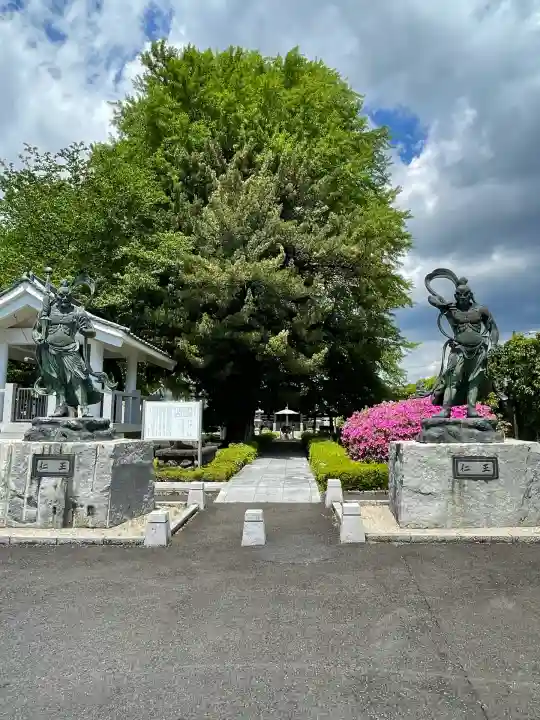 星谷寺(神奈川県)