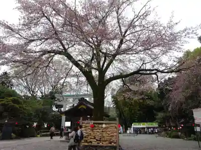 出雲大社相模分祠(神奈川県)