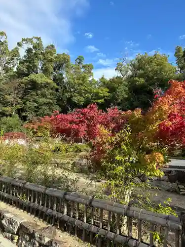 八事山 興正寺の庭園