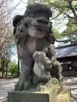 世田谷八幡宮の狛犬