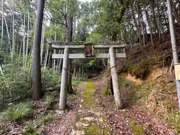 竹谷神社の鳥居