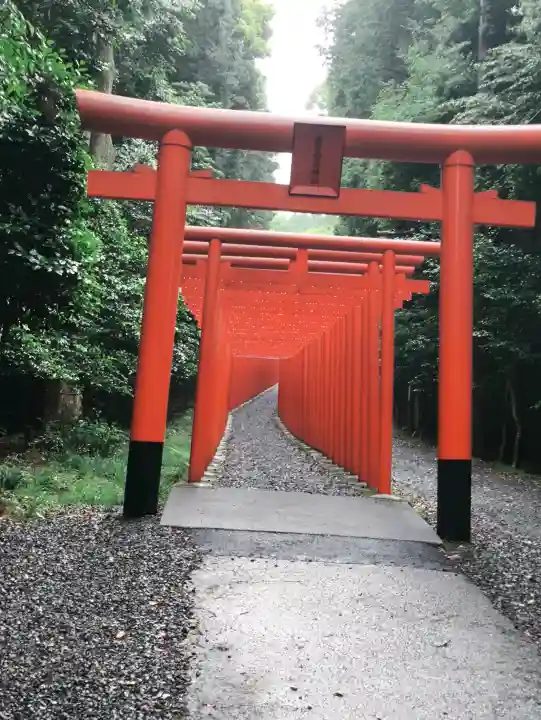 南宮稲荷大明神の{uncategorized: "未分類", other: "その他", undefined: "問題あり", building: "その他建物", grave: "お墓", sacred_gate: "鳥居", guardian: "狛犬", statue: "像", buddha: "仏像", history: "歴史", nature: "自然", garden: "庭園", animal: "動物", pagoda: "塔", temizu: "手水舎", mountain_gate: "山門・神門", sanctuary: "本殿・本堂", subordinate: "末社・摂社", art: "芸術", scenery: "景色", jizo: "地蔵", ema: "絵馬", goshuin: "御朱印", omikuji: "おみくじ", items: "授与品その他", amulet: "お守り", goshuincho: "御朱印帳", eats: "食事", festival: "お祭り", votive_dance: "神楽", shichigosan: "七五三参", wedding: "結婚式", experience: "体験その他", initially: "初詣", around: "周辺", anti_infection: "感染症対策"}