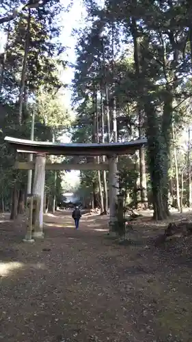 楯縫神社の鳥居