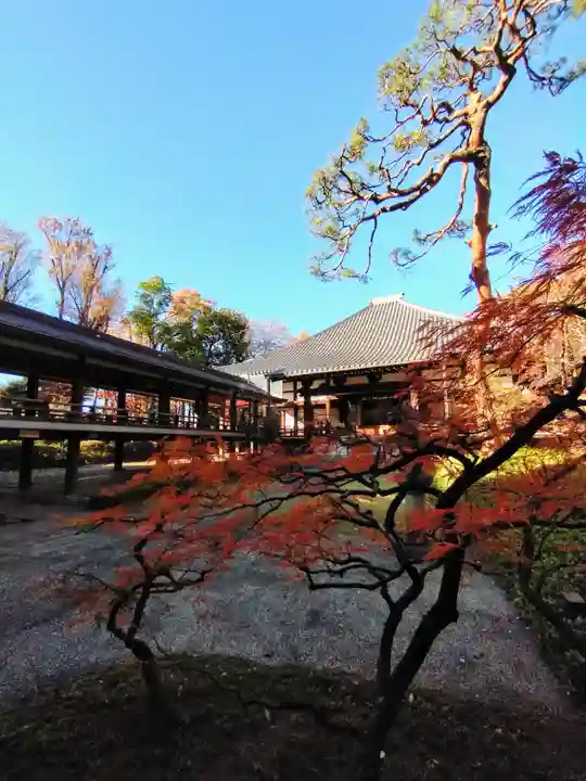 妙法寺(東京都)