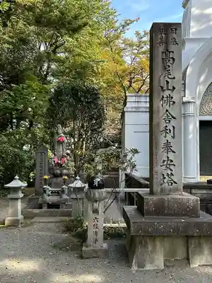 高尾山薬王院(東京都)