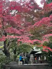 鎌倉宮(神奈川県)