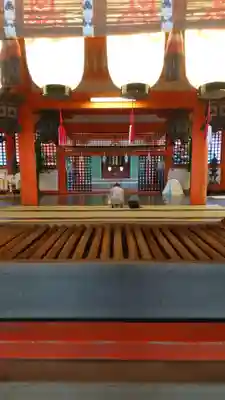 厳島神社の本殿・本堂