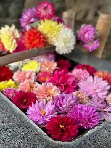 高司神社〜むすびの神の鎮まる社〜(福島県)
