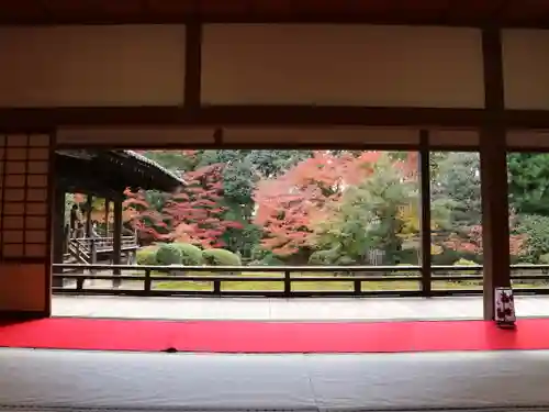 隨心院（随心院）(京都府)