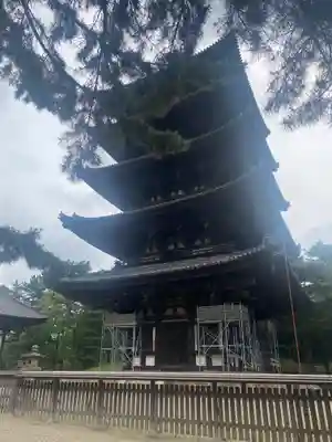 興福寺 五重塔(奈良県)