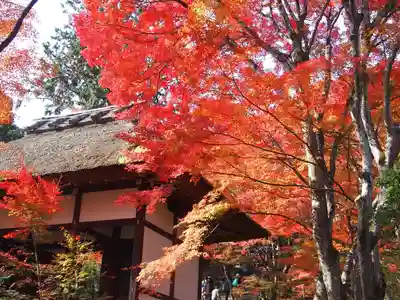常寂光寺(京都府)