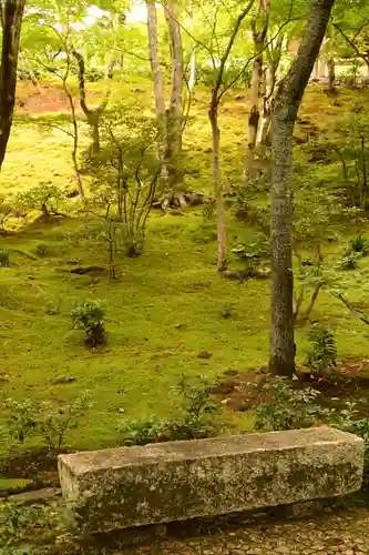 常寂光寺(京都府)
