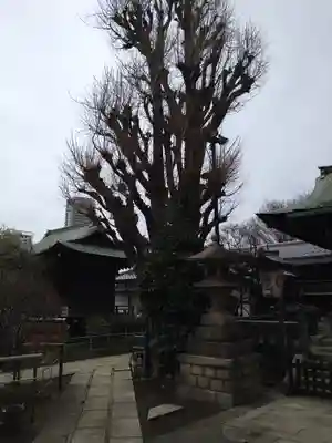 五條天神社のその他建物