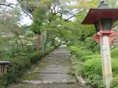 善峯寺(京都府)