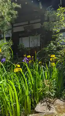 宝蔵寺(京都府)