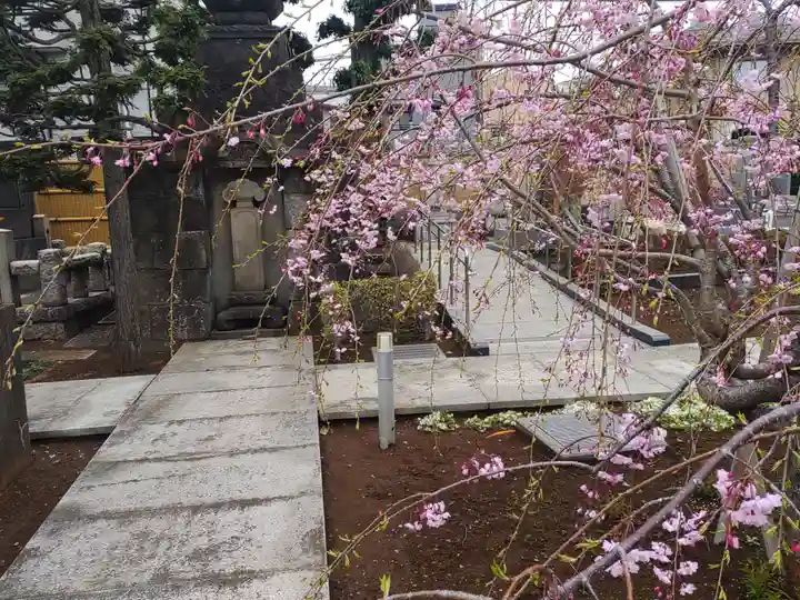 天暁山 一行院(東京都)