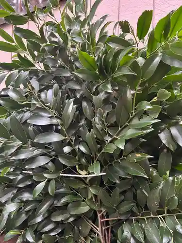 坪沼八幡神社(宮城県)