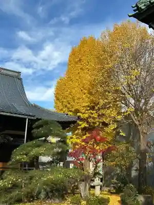 長慶寺(福井県)