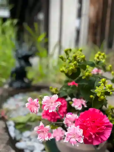 琴似神社の自然