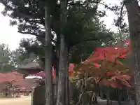 壇上伽藍(和歌山県)