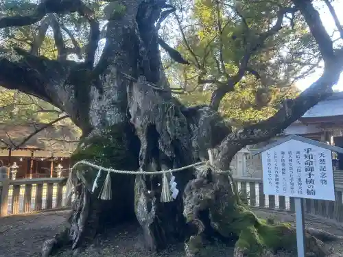 大山祇神社の{uncategorized: "未分類", other: "その他", undefined: "問題あり", building: "その他建物", grave: "お墓", sacred_gate: "鳥居", guardian: "狛犬", statue: "像", buddha: "仏像", history: "歴史", nature: "自然", garden: "庭園", animal: "動物", pagoda: "塔", temizu: "手水舎", mountain_gate: "山門・神門", sanctuary: "本殿・本堂", subordinate: "末社・摂社", art: "芸術", scenery: "景色", jizo: "地蔵", ema: "絵馬", goshuin: "御朱印", omikuji: "おみくじ", items: "授与品その他", amulet: "お守り", goshuincho: "御朱印帳", eats: "食事", festival: "お祭り", votive_dance: "神楽", shichigosan: "七五三参", wedding: "結婚式", experience: "体験その他", initially: "初詣", around: "周辺", anti_infection: "感染症対策"}