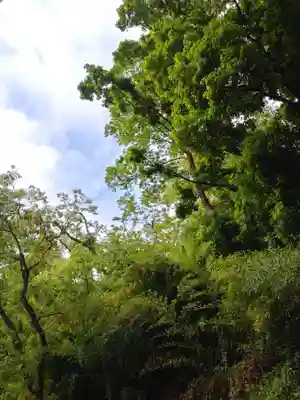 刺田比古神社(和歌山県)