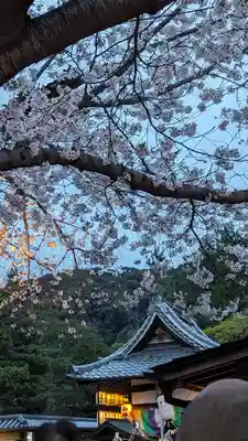 高台寺（高台寿聖禅寺・高臺寺）(京都府)