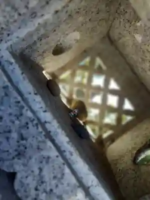 与利幾神社(茨城県)