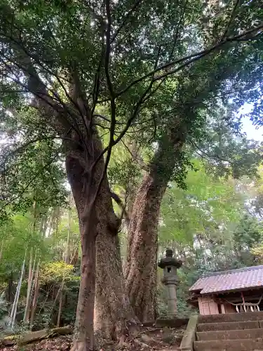 熊野神社(神奈川県)