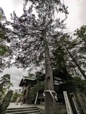 菟橋神社の{uncategorized: "未分類", other: "その他", undefined: "問題あり", building: "その他建物", grave: "お墓", sacred_gate: "鳥居", guardian: "狛犬", statue: "像", buddha: "仏像", history: "歴史", nature: "自然", garden: "庭園", animal: "動物", pagoda: "塔", temizu: "手水舎", mountain_gate: "山門・神門", sanctuary: "本殿・本堂", subordinate: "末社・摂社", art: "芸術", scenery: "景色", jizo: "地蔵", ema: "絵馬", goshuin: "御朱印", omikuji: "おみくじ", items: "授与品その他", amulet: "お守り", goshuincho: "御朱印帳", eats: "食事", festival: "お祭り", votive_dance: "神楽", shichigosan: "七五三参", wedding: "結婚式", experience: "体験その他", initially: "初詣", around: "周辺", anti_infection: "感染症対策"}