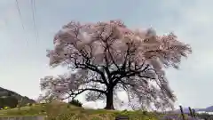 武田廣神社(山梨県)