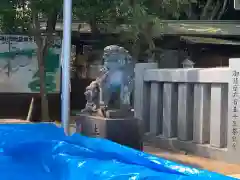 春日部八幡神社の狛犬