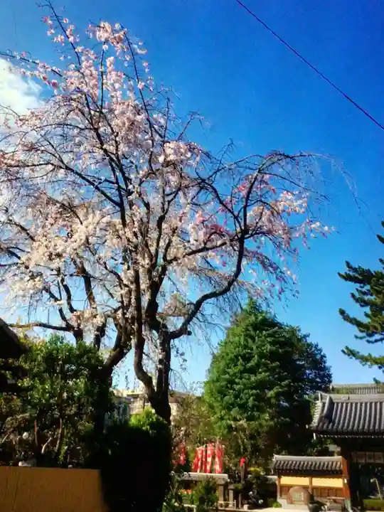 玄国寺(東京都)