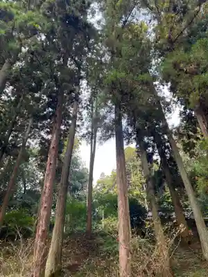 大宮温泉神社(栃木県)