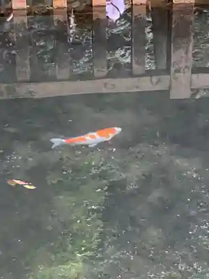 鹿島神宮(茨城県)