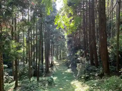 熊野神社の自然