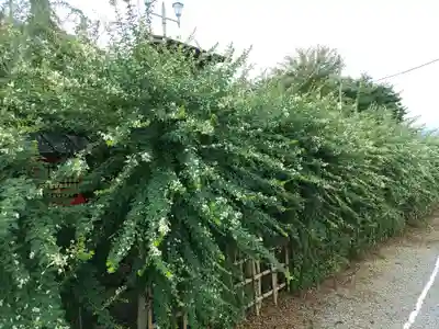 寺岡山元三大師の自然